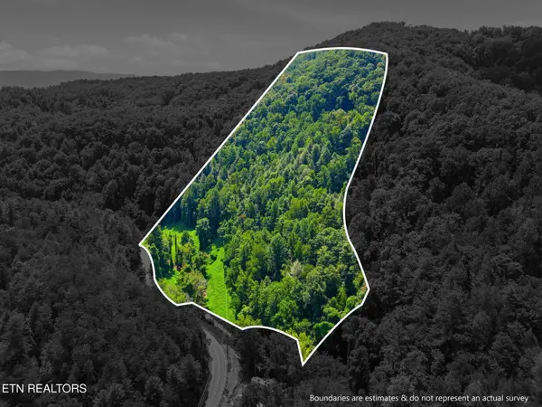 3910 Wilhite Rd, Sevierville, TN 37876