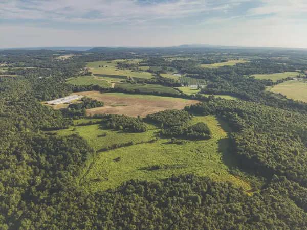 0 New Harmony Road, Pikeville, TN 37367