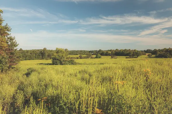 0 New Harmony Road, Pikeville, TN 37367