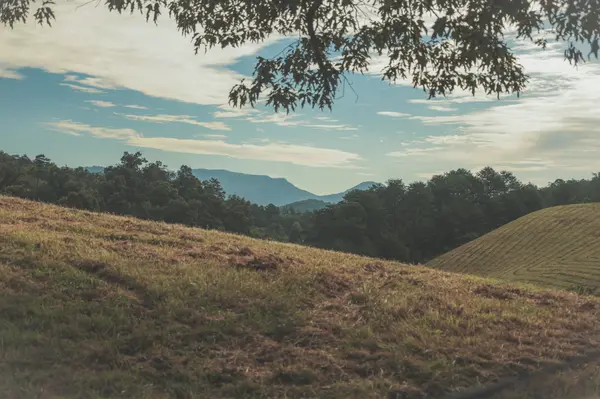 1634 Dixon Branch Rd, Sevierville, TN 37876
