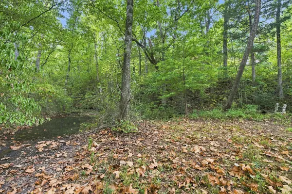 114 Zuluster LN, Gainesville, MO 65655