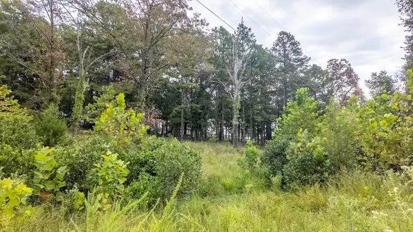 517 Sawmill RD, Brockwell, AR 72517