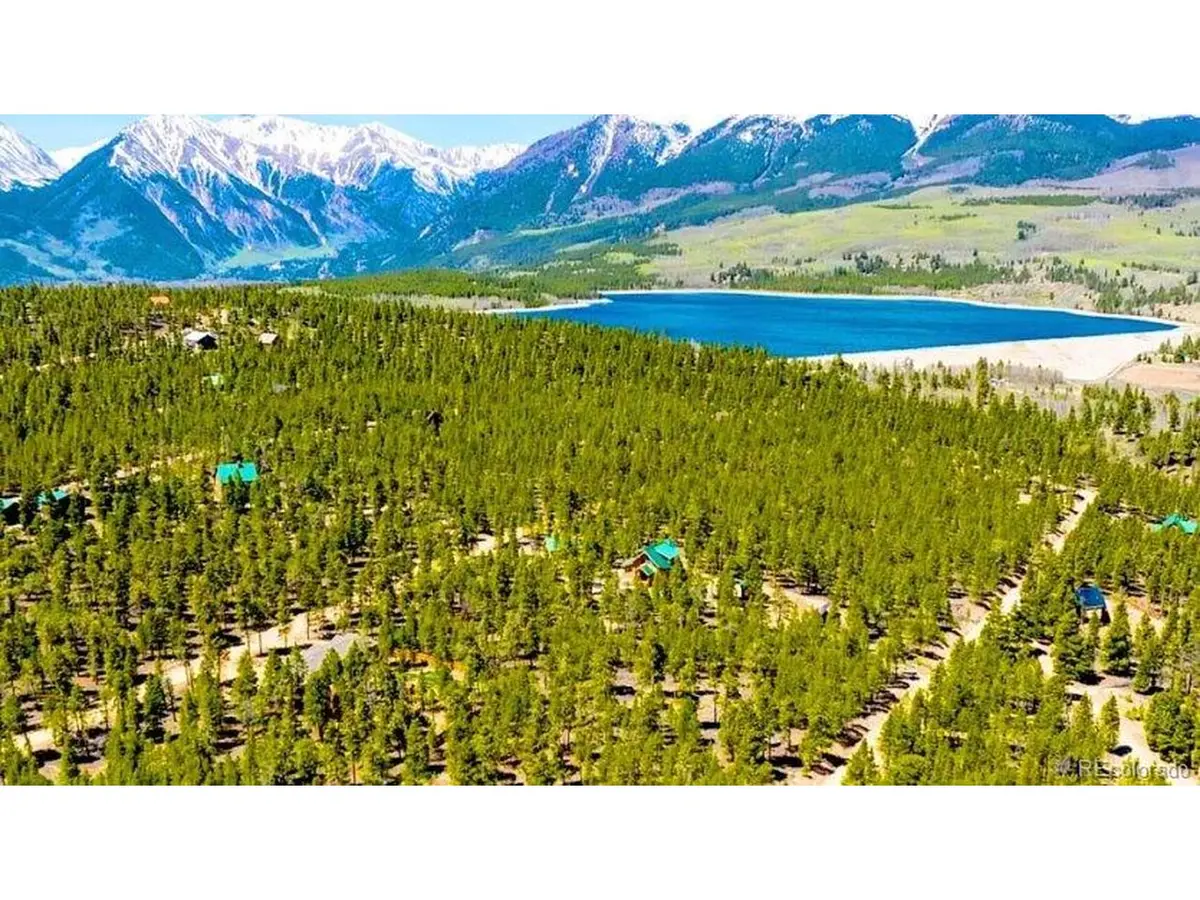 55 Lodgepole, Twin Lakes, CO 80461