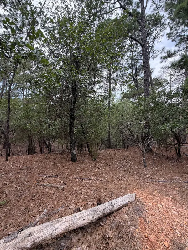 Lot 216 Hekili DR, Bastrop, TX 78602
