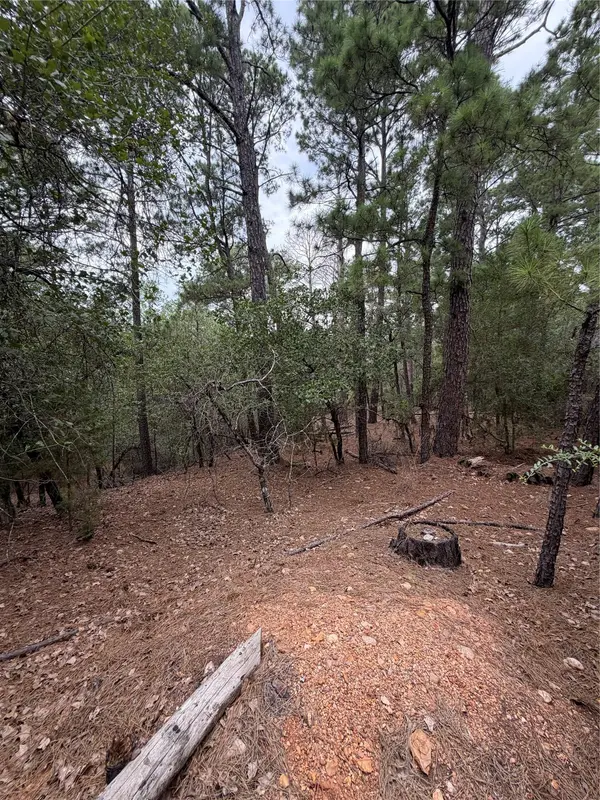 Lot 216 Hekili DR, Bastrop, TX 78602