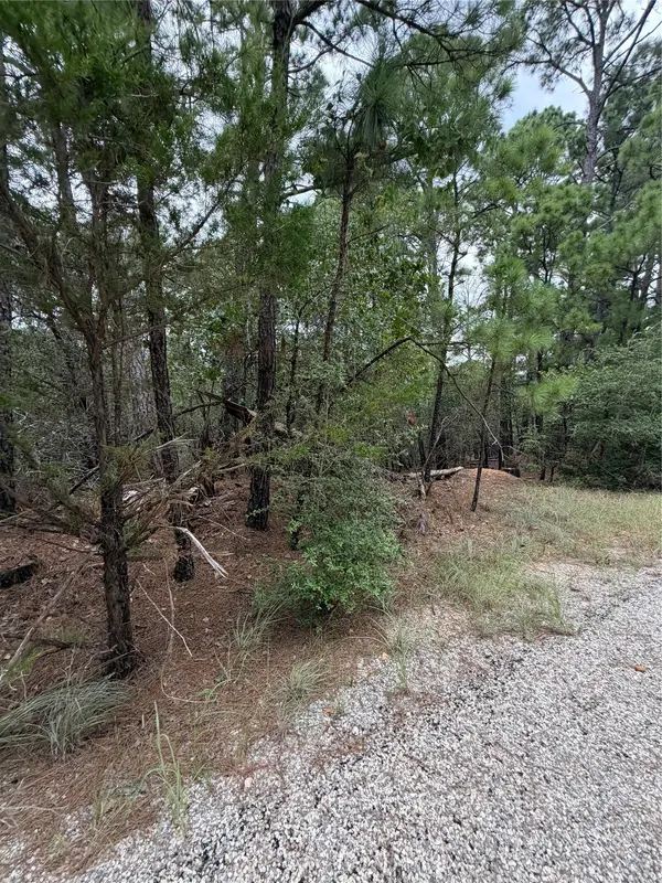 Lot 216 Hekili DR, Bastrop, TX 78602