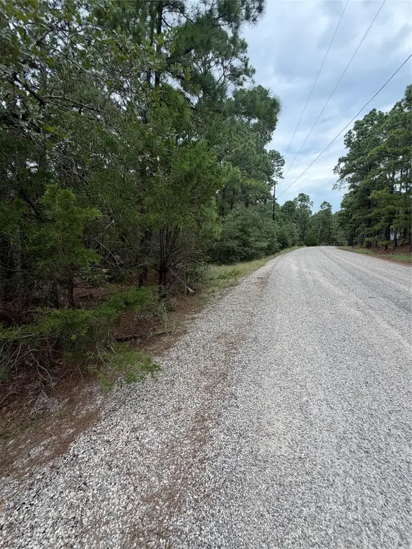Lot 217 Hekili DR, Bastrop, TX 78602