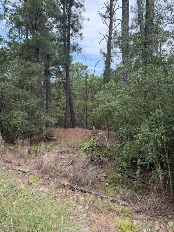 Lot 217 Hekili DR, Bastrop, TX 78602