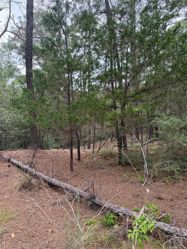 Lot 217 Hekili DR, Bastrop, TX 78602