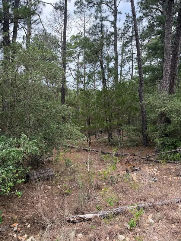 Lot 217 Hekili DR, Bastrop, TX 78602
