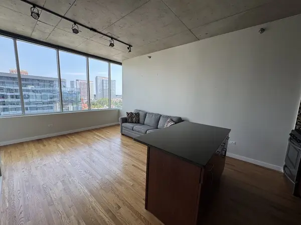 1720 S Michigan AVE #1106, Chicago, IL 60616