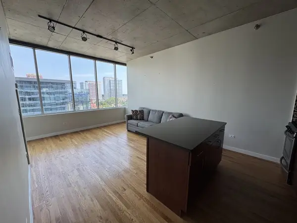 1720 S Michigan AVE #1106, Chicago, IL 60616