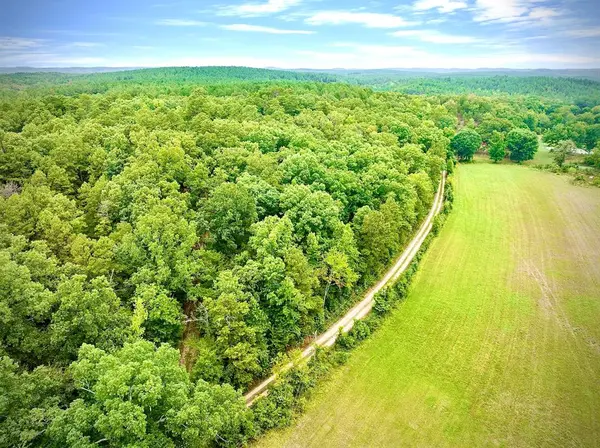 260 Box Elder LN, Broken Bow, OK 74728