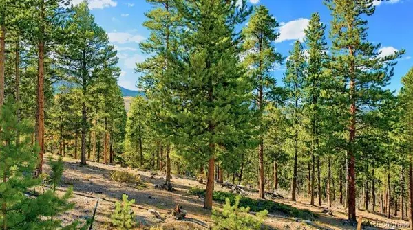 Lot 55 Lodgepole DR, Twin Lakes, CO 80461