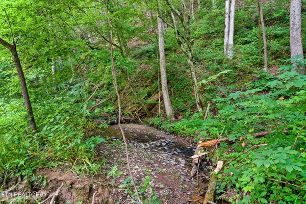 3211 Old Mountain Rd, Sevierville, TN 37876