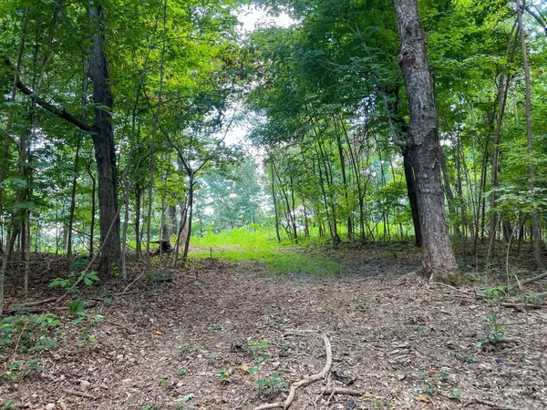 7659 Burks Rd, Christiana, TN 37037