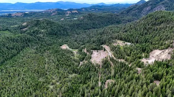 6071 Bead Lake Rd, Newport, WA 99156