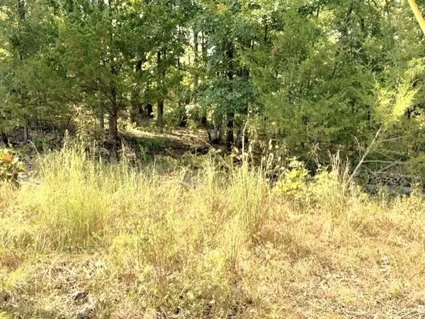 18886 Sugar Creek RD, Garfield, AR 72732