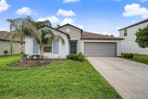 13411 WILLOW BLUESTAR LOOP, Riverview, FL 33579