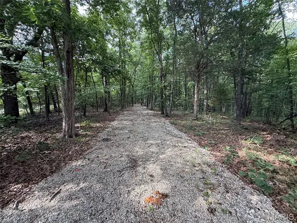 Lot 1 Heritage Woods Subdivison, Steelville, MO 65565