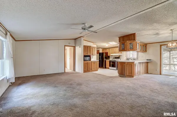 13102 WOLF LN, Petersburg, IL 62675