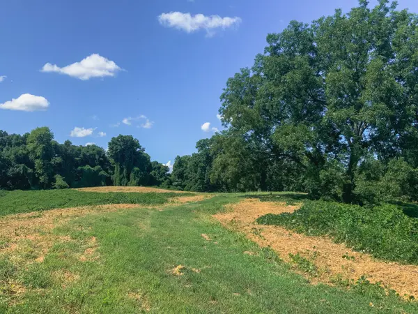 0 Call Road, Obion, TN 38240