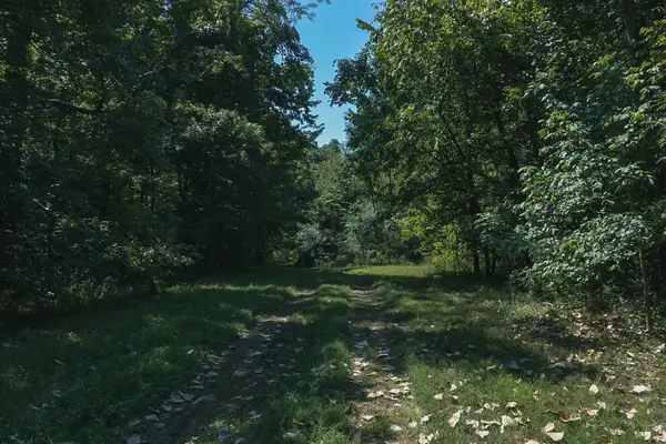 0 Call Road, Obion, TN 38240