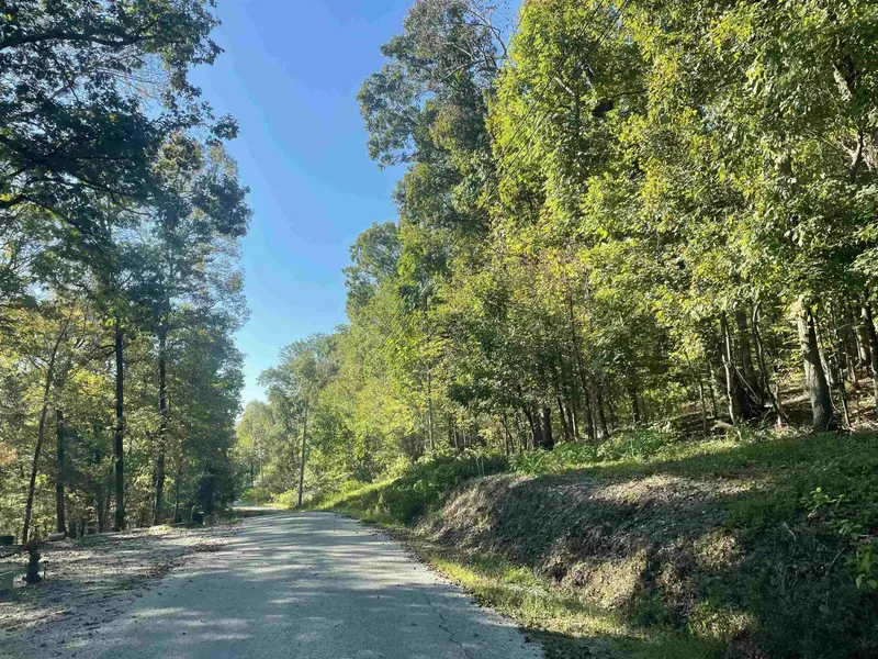 0 CROW LN, Bath Springs, TN 38311