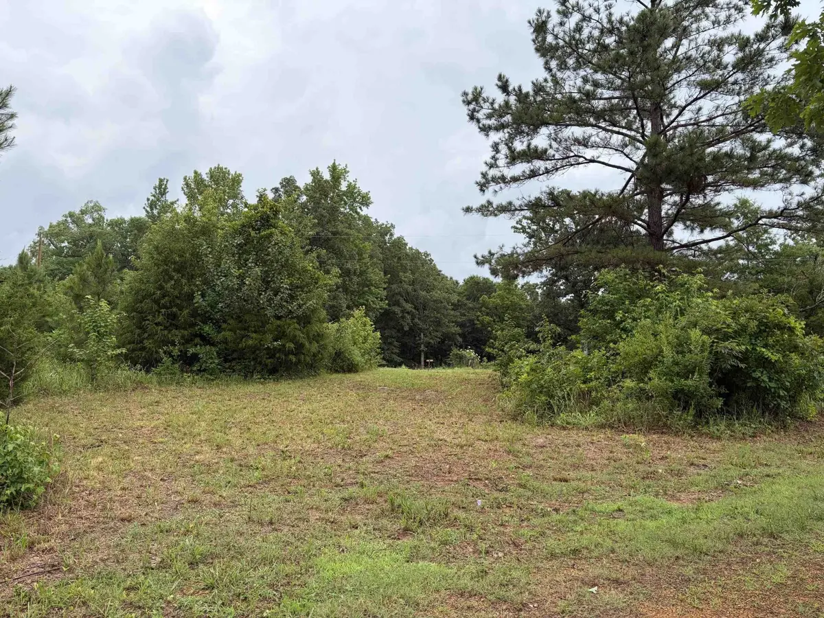 745 FOSTER RD, Adamsville, TN 38310