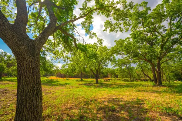 0 Spring Haven Ranch, Wimberley, TX 78676