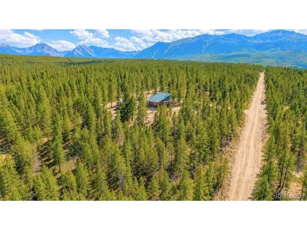 57 Lodgepole, Twin Lakes, CO 80461