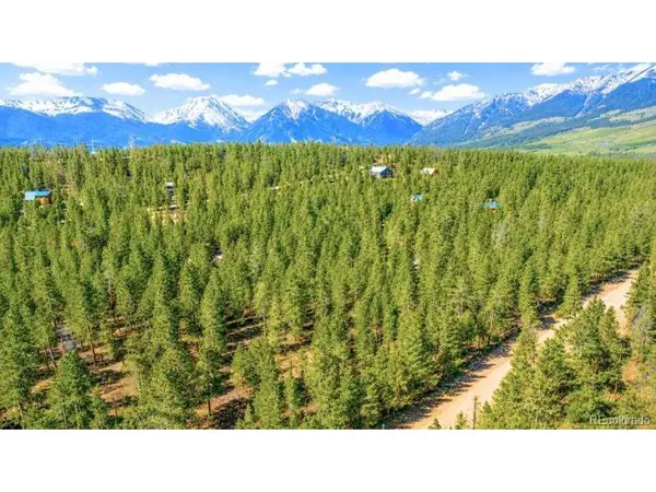 57 Lodgepole, Twin Lakes, CO 80461
