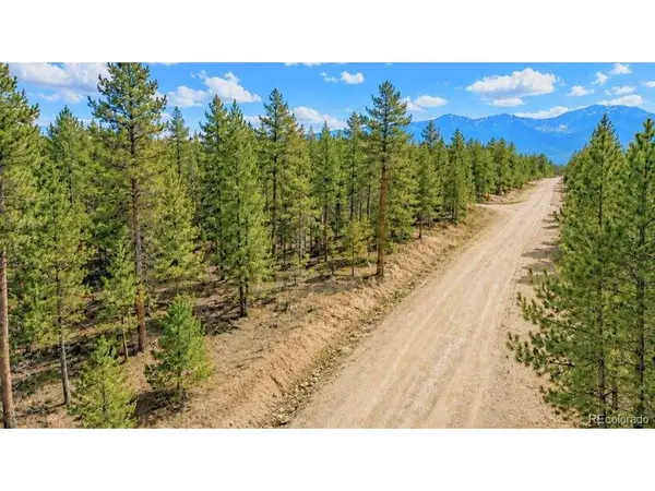 56 Lodgepole, Twin Lakes, CO 80461
