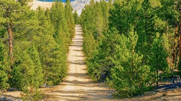 Lot 56 Lodgepole DR, Leadville, CO 80461