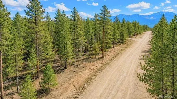 Lot 56 Lodgepole DR, Leadville, CO 80461