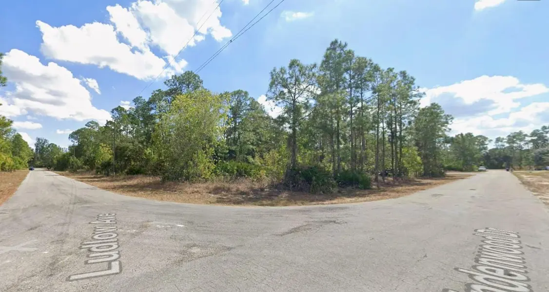315 LUDLOW AVE, Lehigh Acres, FL 33972