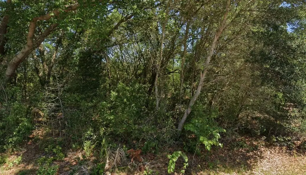 19901 FLAMINGO DR, Dunnellon, FL 34431