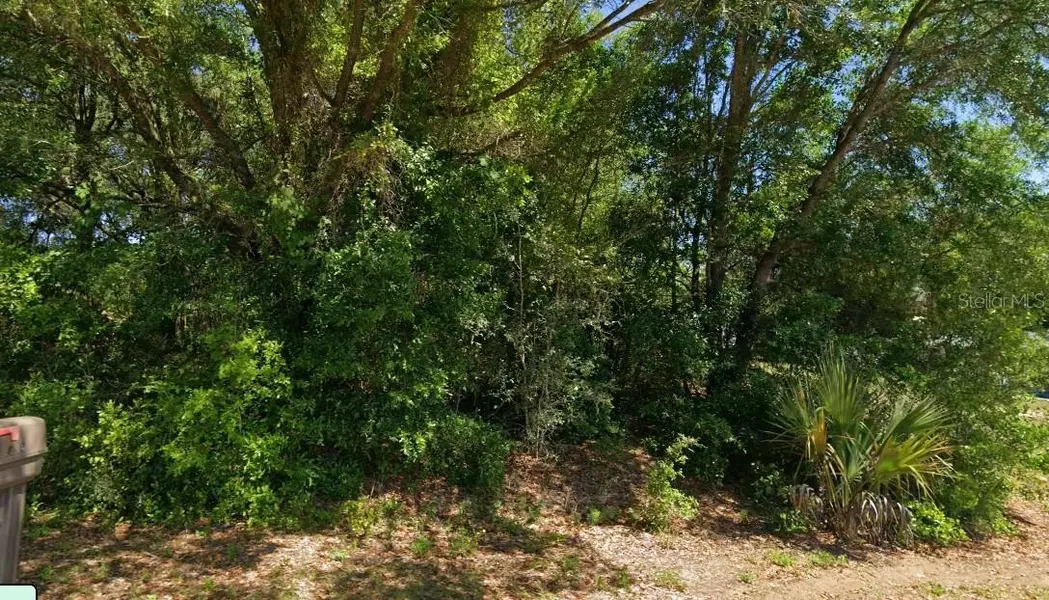 19801 FLAMINGO DR, Dunnellon, FL 34431