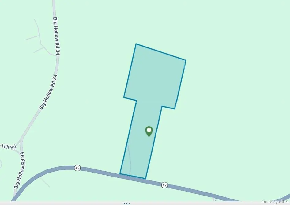 7173-7175 State Route 42, Grahamsville, NY 12740