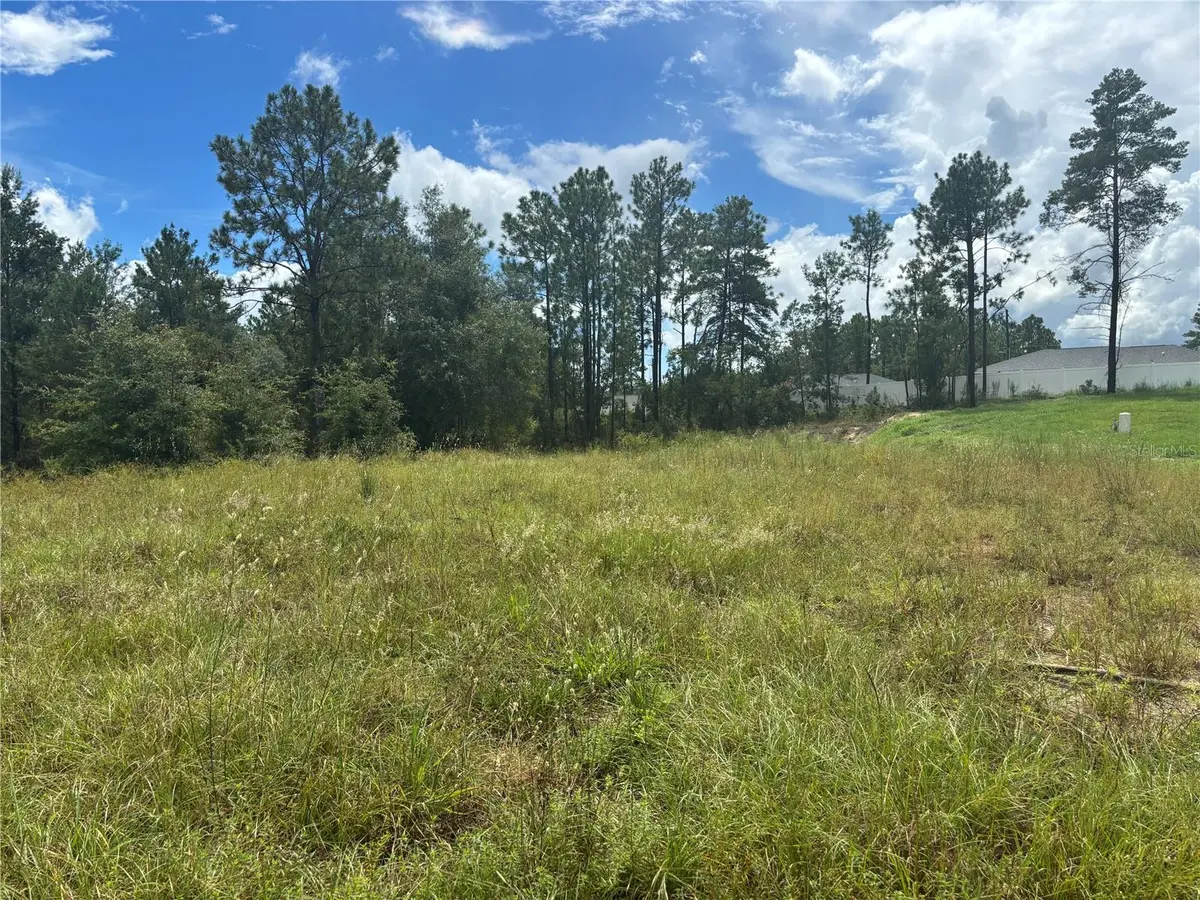 12828 SW 86 CIR, Ocala, FL 34473