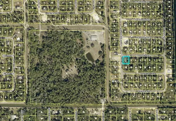 315 LUDLOW AVE, Lehigh Acres, FL 33972
