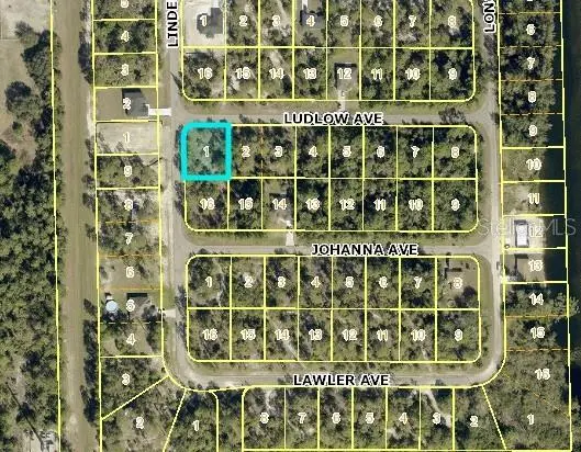 315 LUDLOW AVE, Lehigh Acres, FL 33972