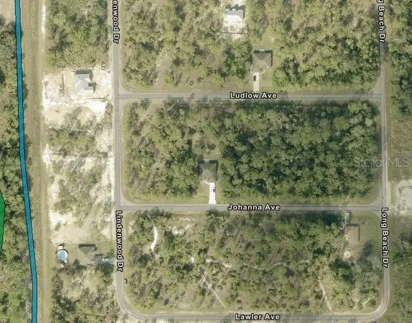 315 LUDLOW AVE, Lehigh Acres, FL 33972