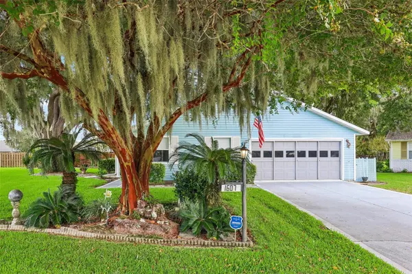 1607 SELKIRK DR, Leesburg, FL 34788