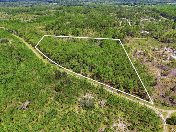 SE 51 WAY, Trenton, FL 32693