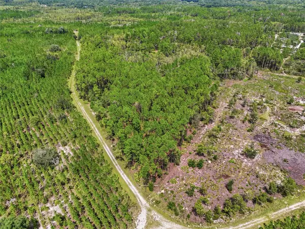 SE 51 WAY, Trenton, FL 32693