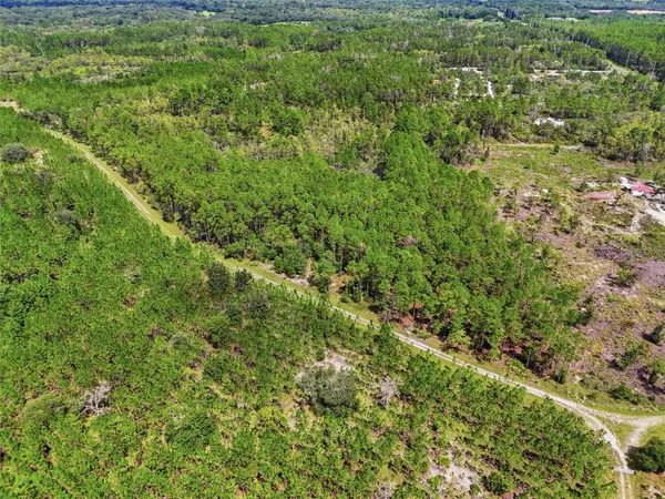 SE 51 WAY, Trenton, FL 32693