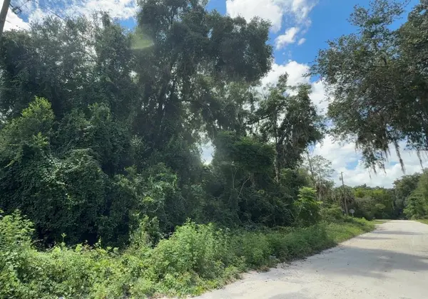 0000 NE 182ND PL, Citra, FL 32113