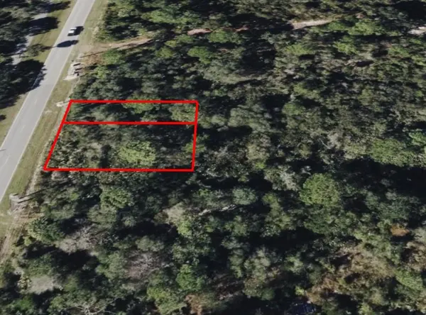 734 OSTEEN MAYTOWN RD, Osteen, FL 32764