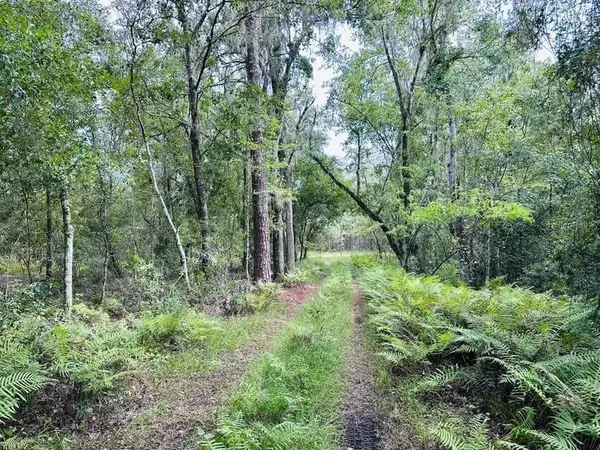 10579 SE COUNTY ROAD 337, Trenton, FL 32693